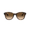 Ray-Ban RB4203