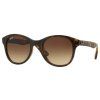 7314 ray ban rb4203