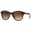 Ray-Ban RB4203