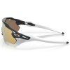7527 2 oakley radar ev path carbon w prizm rose gold