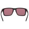 8763 3 oakley holbrook mttblk w prizm dk glf