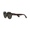 ray ban rb 4399 gina 90231 havana 8056597829410 3 800x800w