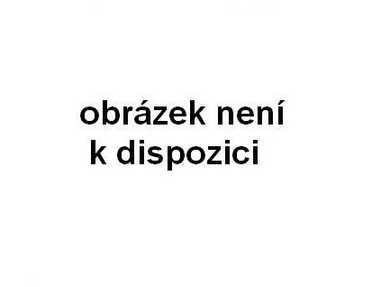Žárovka Coil RAYLIGHT obyčejné osvětlení