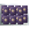 diar 93297 purple 02