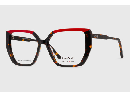 RVB869C1