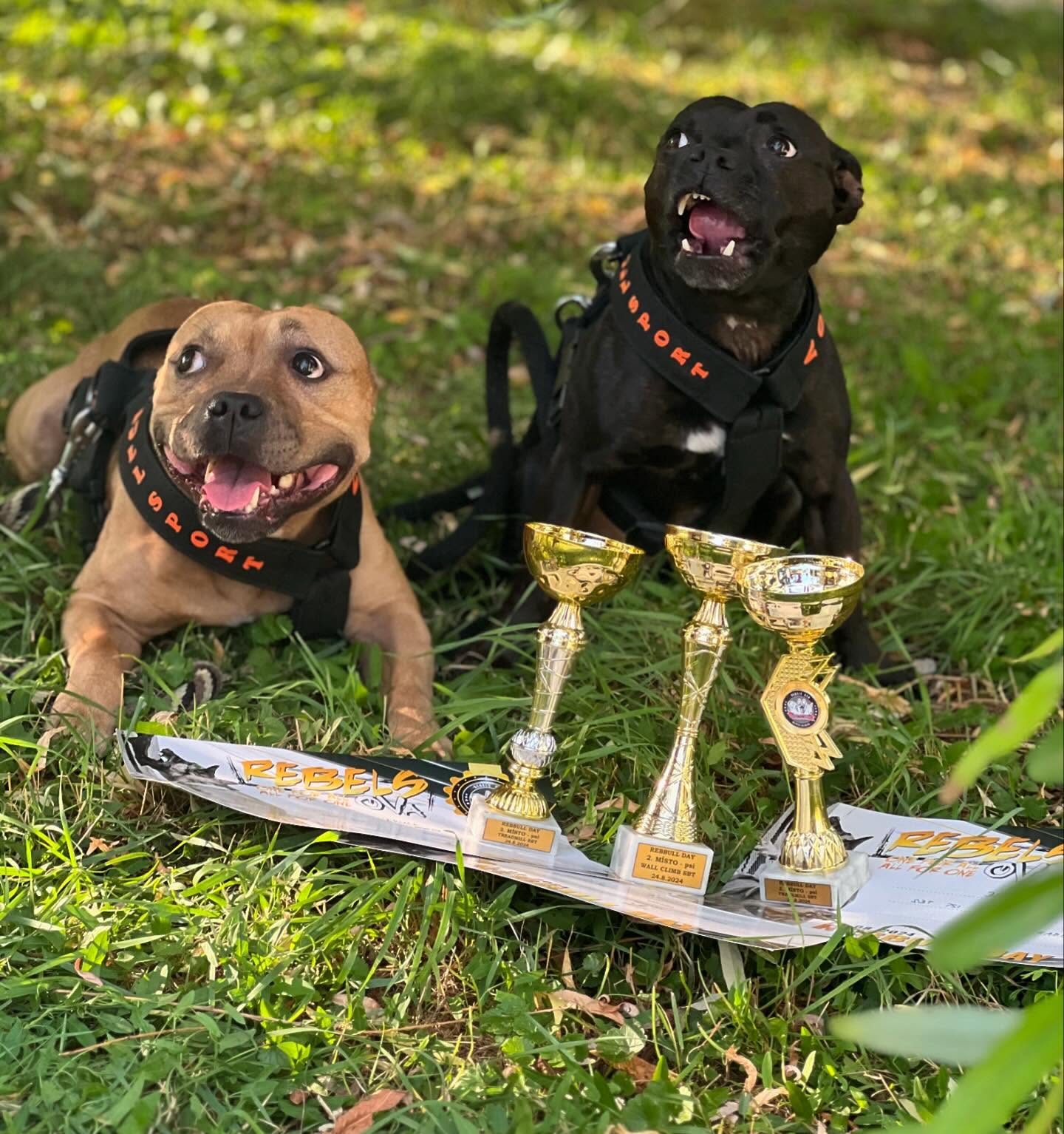 456558699_17859763479229968_5256050665875636044_n