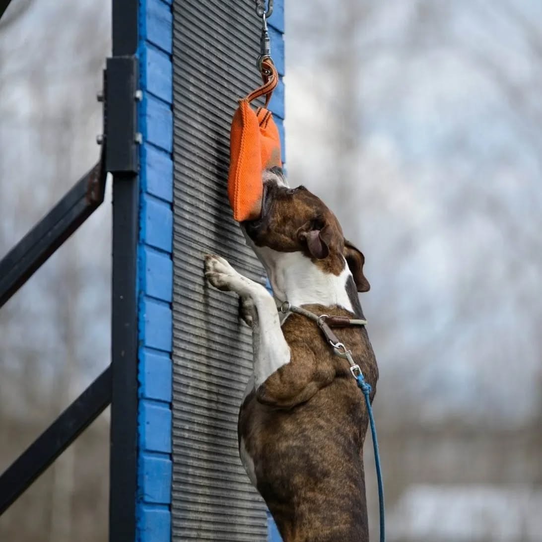 457284148_17853218718258771_6636551707668199831_n