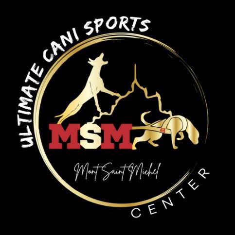 457358369_987316029863252_4505941715681935419_n