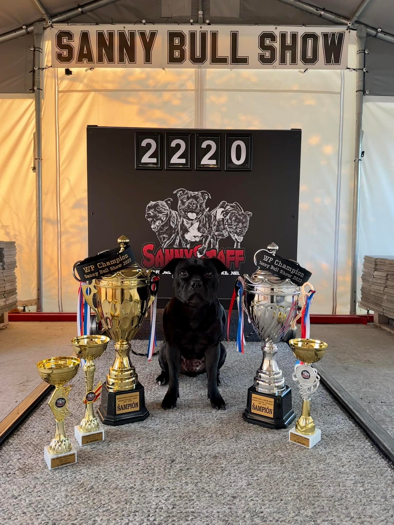 487307702_1223733143085476_4908171134262884390_n