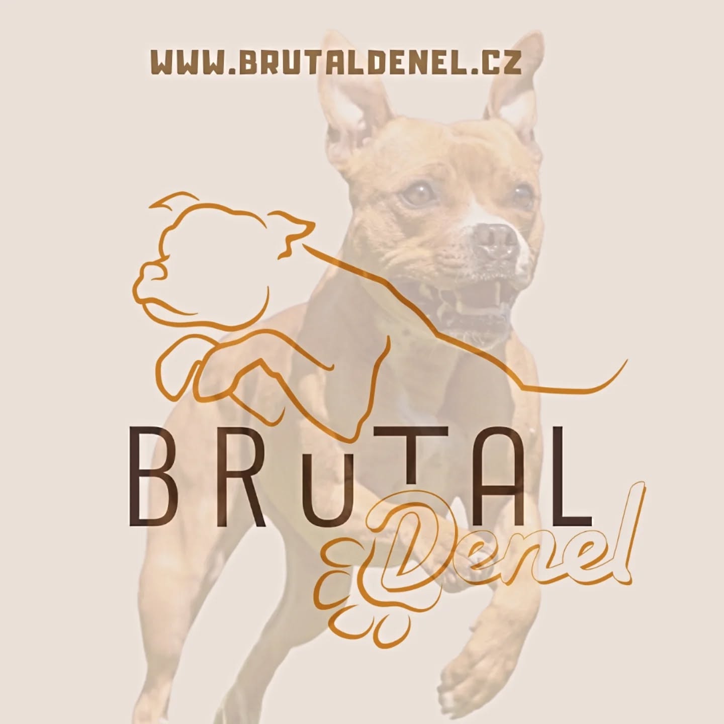 491417520_17932913574013100_4573469191177059845_n