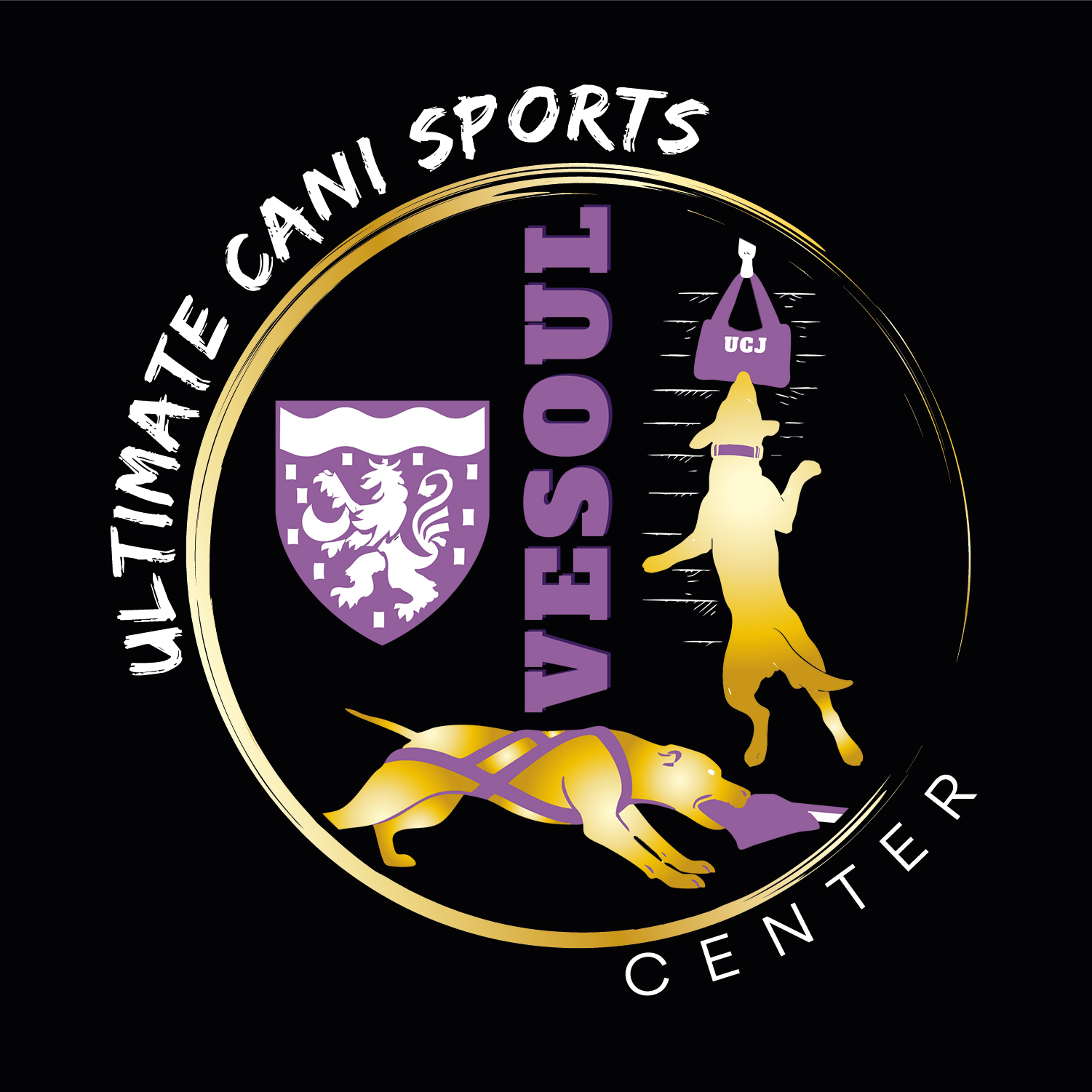 605536704_913477257913949_3819385722979434316_n