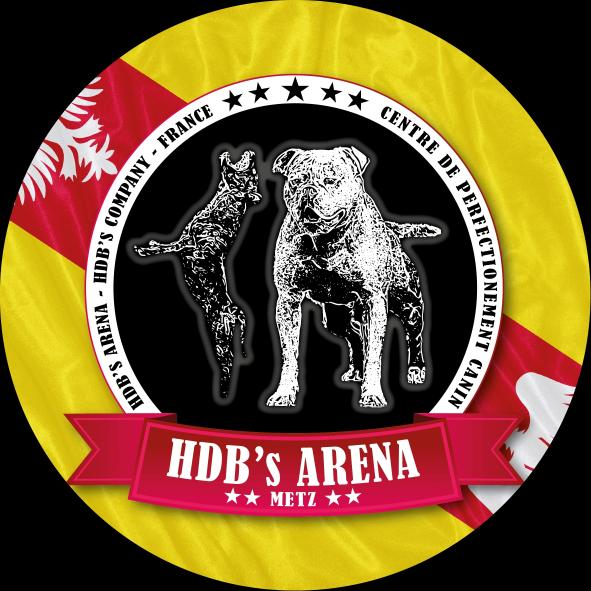 610927262_1233103982036139_6597087314458637888_n