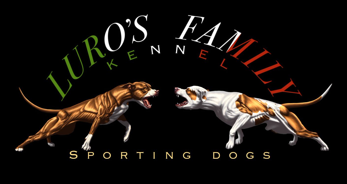 95a12ad3-af5d-4df8-b335-3a1191210b00