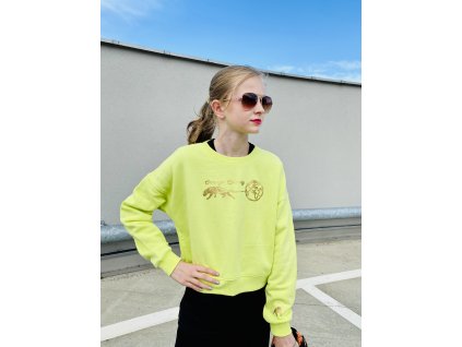 F9AFF654 848C 4386 A40D F541BFEFD9B4