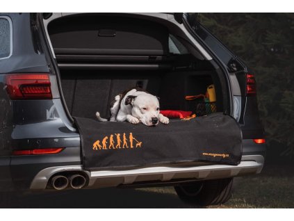 5FC220C3 D39F 4C78 90CC BC1BA4E58707