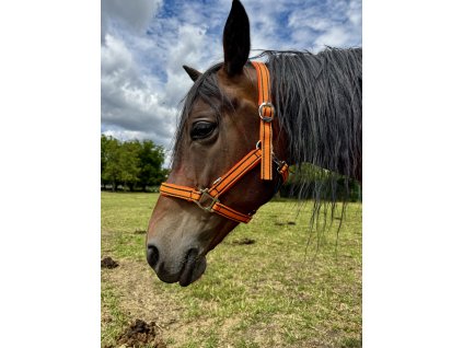 COB Halter - Orange - Softened