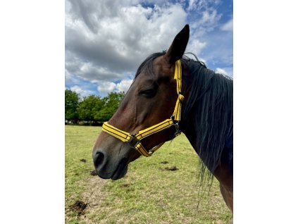 COB Halter - yellow - Softened