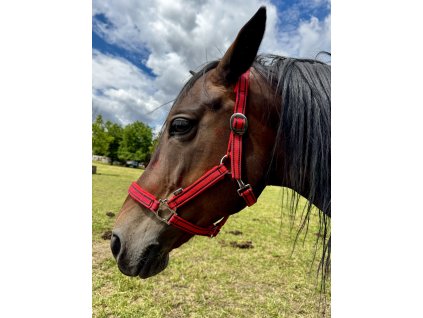 COB Halter - red - Softened