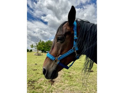 COB Halter - Blue - Softened