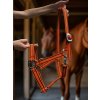 COB Halter - Orange