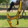 COB halter - yellow