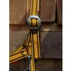 COB halter - yellow