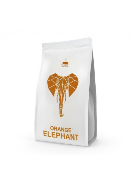 Coffee beans Kenya Tegu AB 1000g