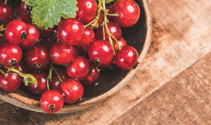 Rybíz: Vitamínová bomba pro imunitu + Recept na sirup a džem