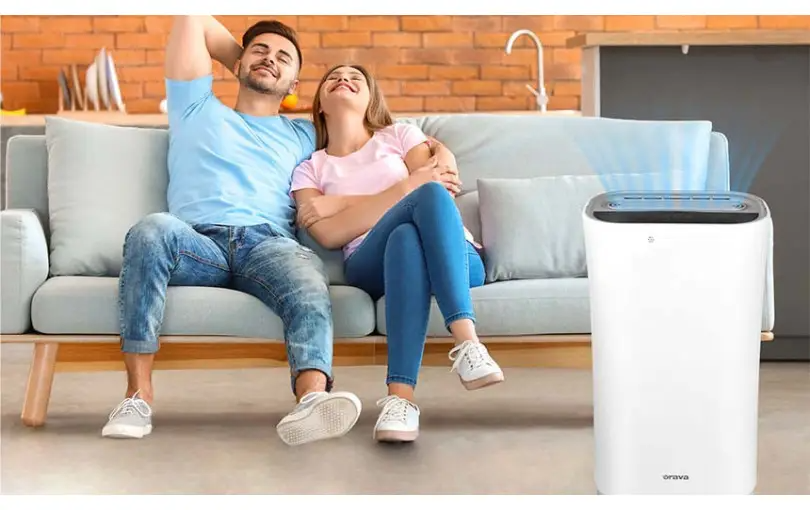 Čistička vzduchu proti plesniam a vírusom: Ako chrániť zdravie s Aeris+?