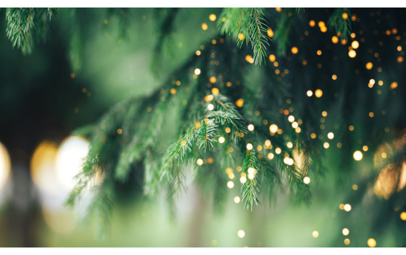 Vianočné osvetlenie: Ako vybrať dokonalé svetielka?