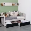 postel8