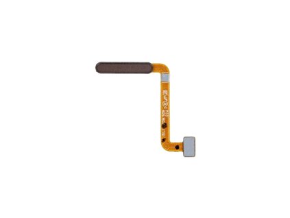 fingerprint bruin i387jiim