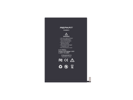 repart ipad mini 5 001 3d2zebnk