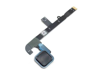 rgmr62QOTR