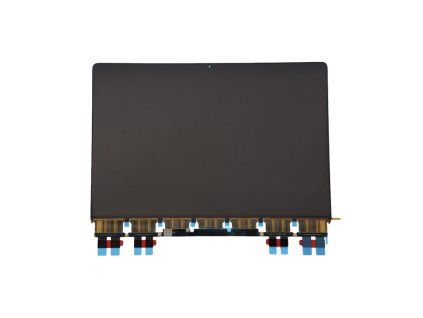 Displej pro Apple Macbook Pro 14 inch - A2442