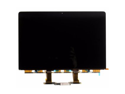 Displej pro Apple Macbook Pro 13 Inch - A2251