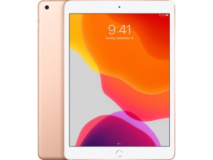 ipad 7 10 2 1619016665 4g7dnmxp