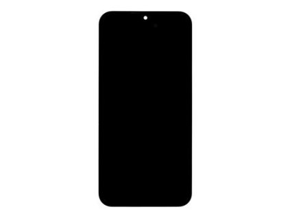 Displej pro Samsung M155 Galaxy M15 5G