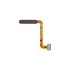 fingerprint bruin i387jiim