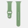 Kryt pro Apple Watch 42