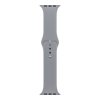 Kryt pro Apple Watch 42