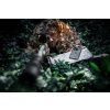 Kryt pro Tactical Apple iPhone 13 Clear/Black