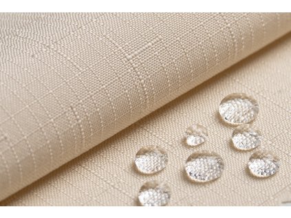 primary�3AUbrutex�2FFOT 1037