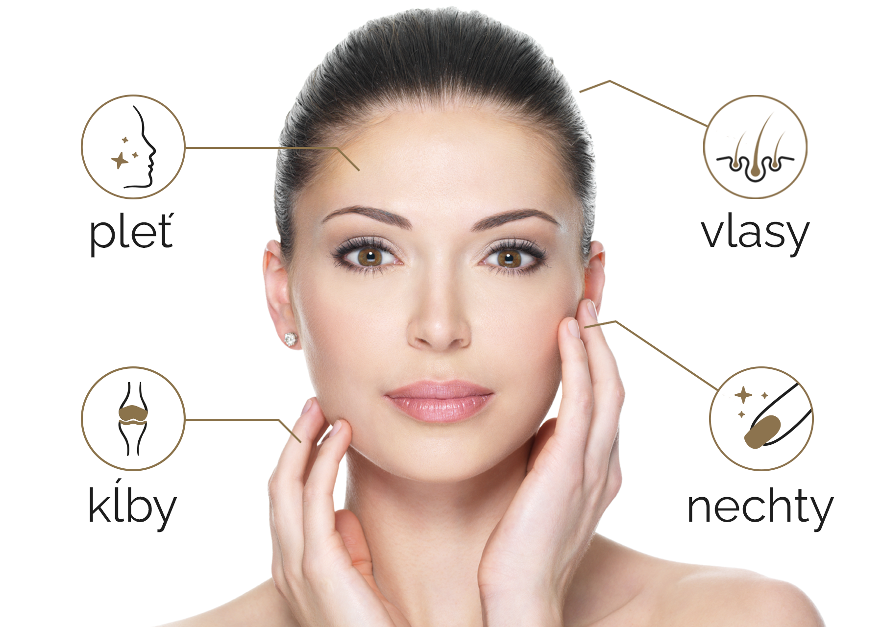 úvodny2_Orca_collagen