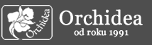 Orchidea
