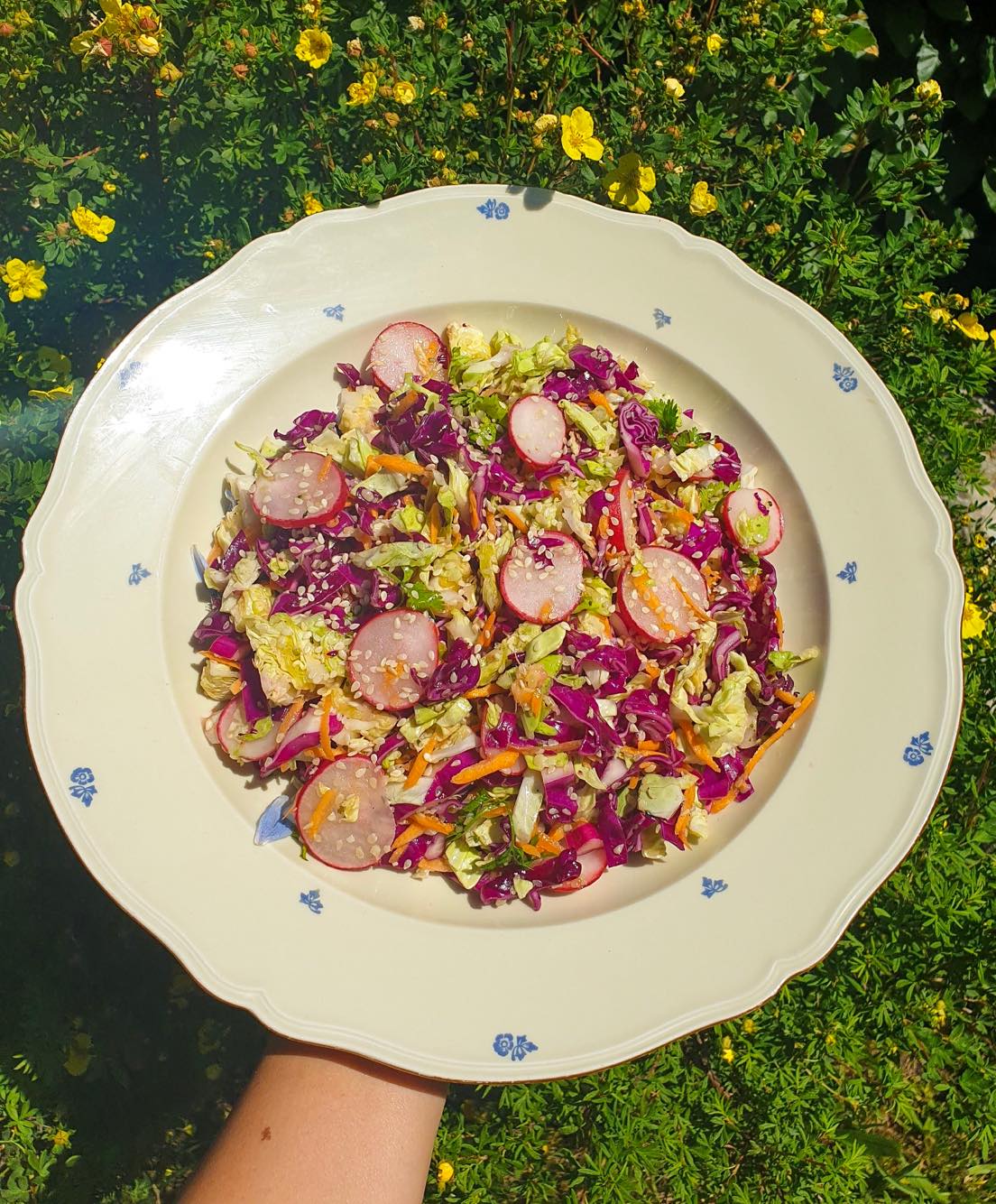 Zelný salát s kapustou a semínky