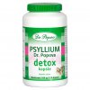 Dr. Popov Psyllium Dr. Popova DETOX kapsle, 104 g/120 kapslí -