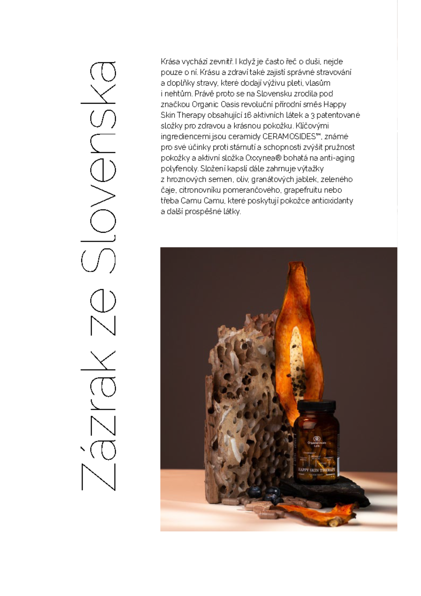 LUXURY GUIDE - Organic Oasis Lab