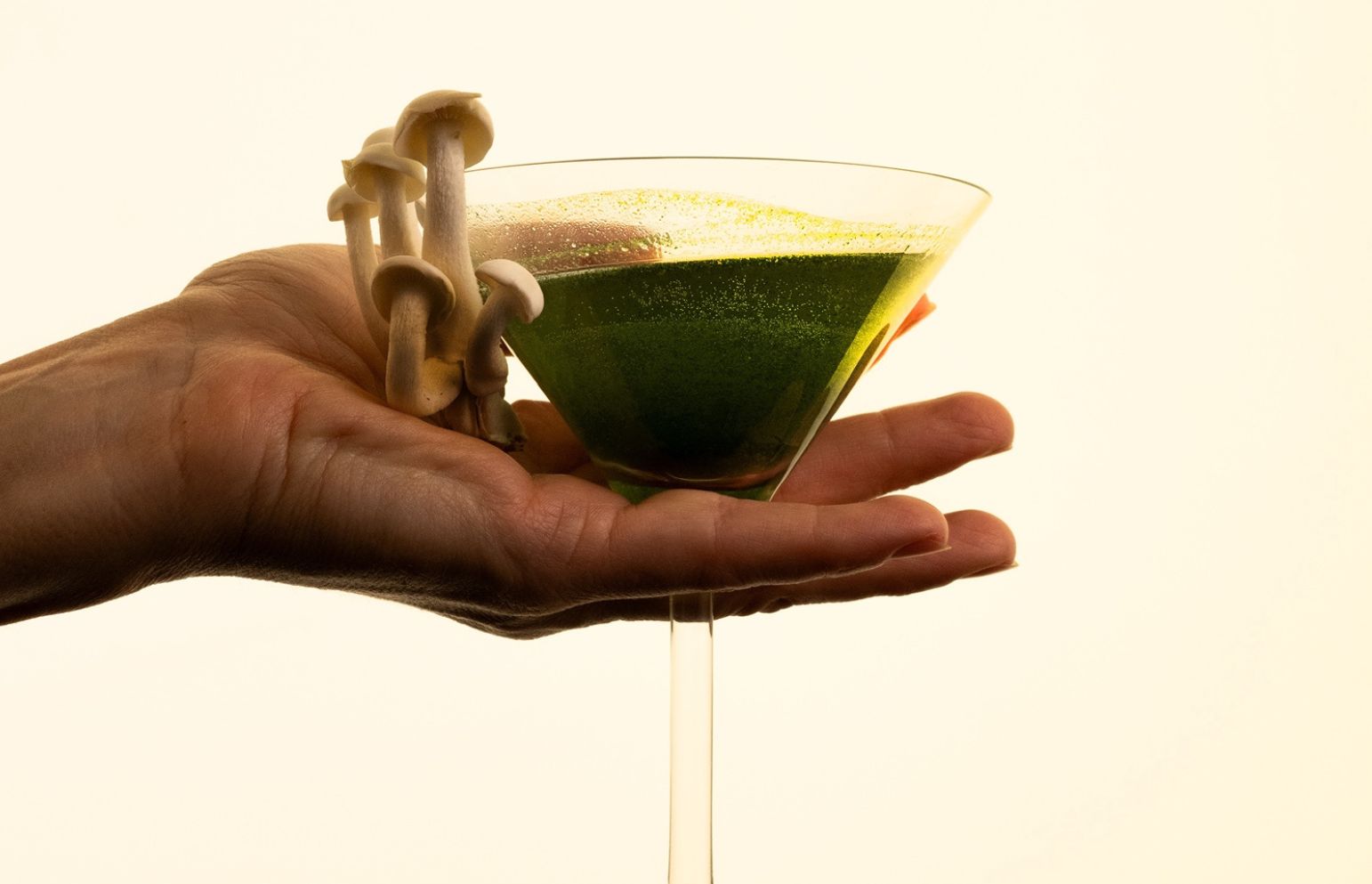 Únava, stres a úzkosť? Pomôcť môžu adaptogény.