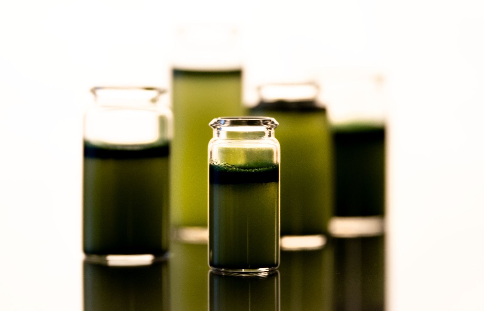 Zelené superpotraviny ako kľúč k lepšiemu zdraviu a dlhovekosti - 1. časť